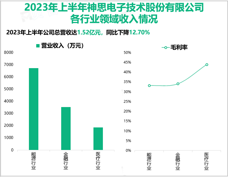 2023年上半年神思电子技术股份有限公司各行业领域收入情况