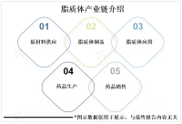 脂质体被广泛应用于药物传递、基因治疗、疫苗制备等领域