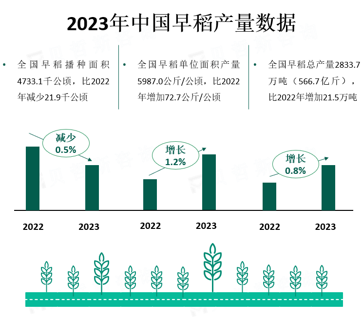 2023年中国早稻产量