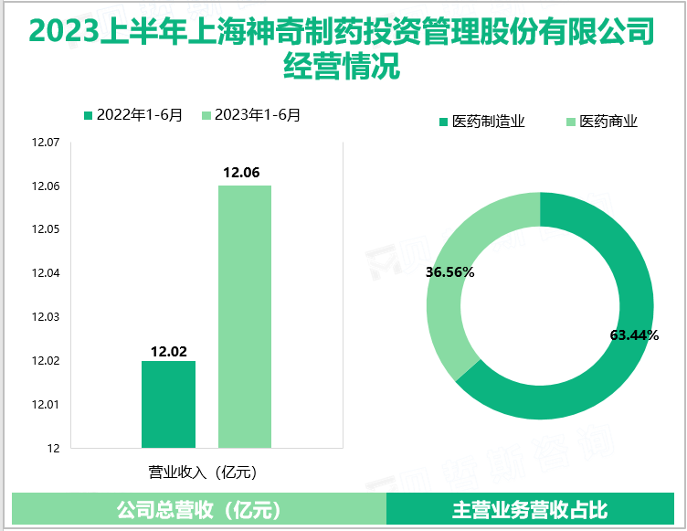 2023上半年上海神奇制药投资管理股份有限公司经营情况