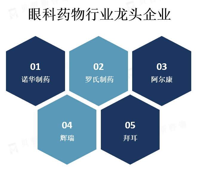 行业龙头企业分析