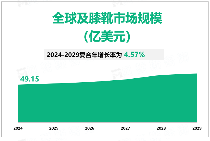 全球及膝靴市场规模 （亿美元）