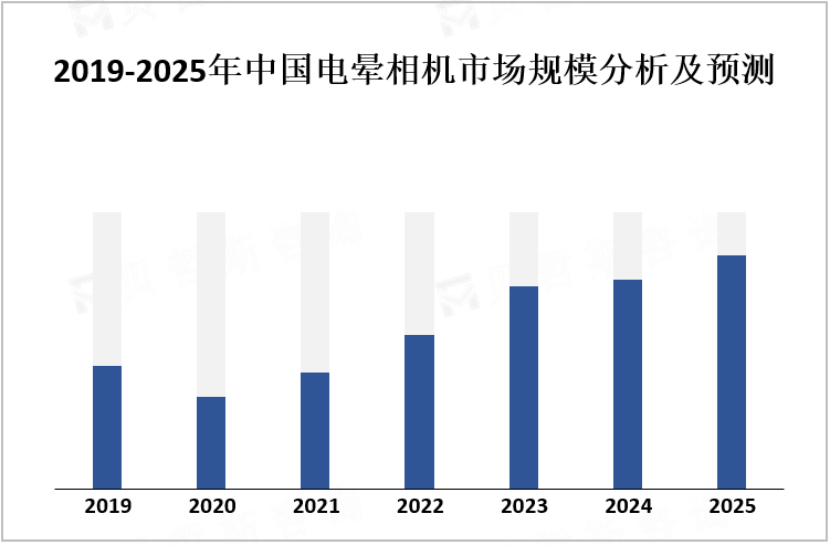 2019-2025年中国电晕相机市场规模分析及预测