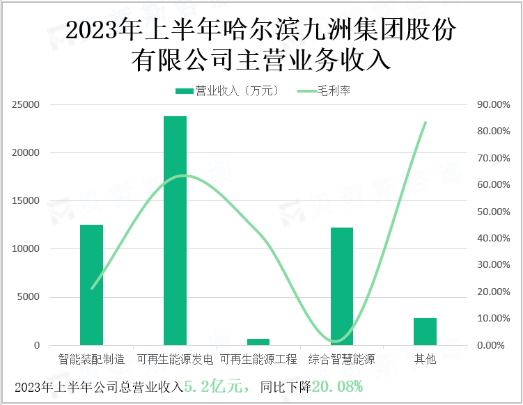 2023年上半年哈尔滨九洲集团股份有限公司主营业务收入