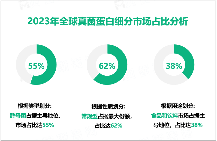 2023年全球真菌蛋白细分市场占比分析