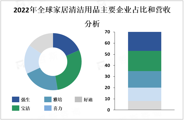 2022年全球家居清洁用品主要企业占比和营收分析