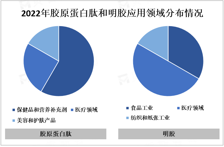 2022年胶原蛋白肽和明胶应用领域分布情况