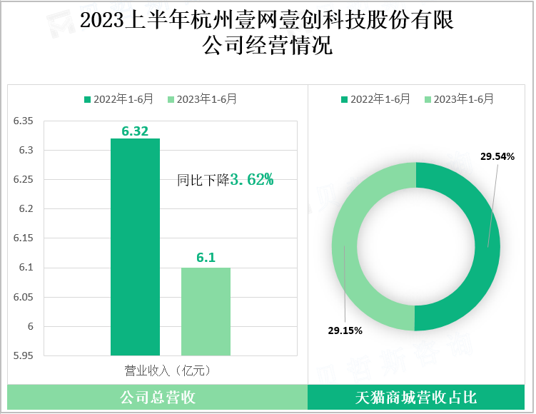 2023上半年杭州壹网壹创科技股份有限公司经营情况