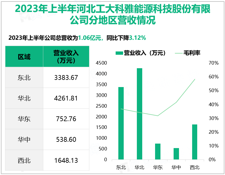 2023年上半年河北工大科雅能源科技股份有限公司分地区营收情况