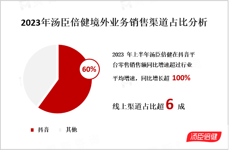 2023年汤臣倍健境外业务销售渠道占比分析