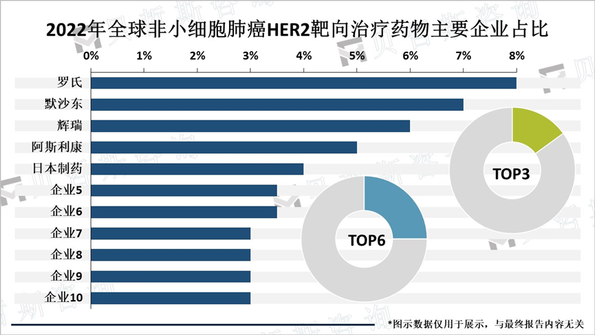 2022年全球非小细胞肺癌HER2靶向治疗药物主要企业占比