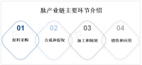 2022年全球肽市场规模及竞争格局分析