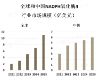 随着对细胞信号传导和氧化应激的研究不断深入，对NADPH氧化酶4的需求逐渐增加