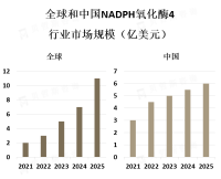 随着对细胞信号传导和氧化应激的研究不断深入，对NADPH氧化酶4的需求逐渐增加