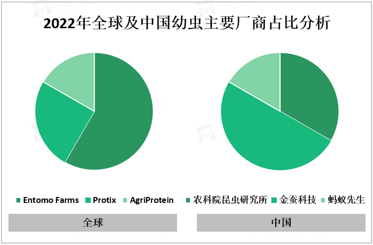 2022年全球及中国幼虫主要厂商占比分析