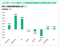 2024年1-7月上海市全社会固定资产投资较上年同期增长9.1%