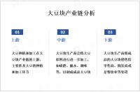 中国大豆块市场规模庞大，消费需求持续增长

