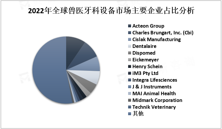2022年全球兽医牙科设备市场主要企业占比分析