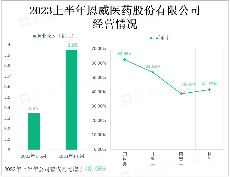 2023上半年恩威医药股份有限公司经营情况