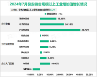 2024年7月份安徽省规模以上工业增加值同比增长8.2%