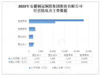 安徽铜冠铜箔集团股份有限公司：盈利17,53亿元，净利润0,28亿元，走在铜箔应用领域前端