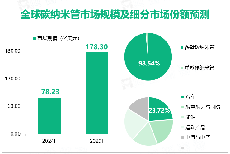 全球碳纳米管市场规模及细分市场份额预测