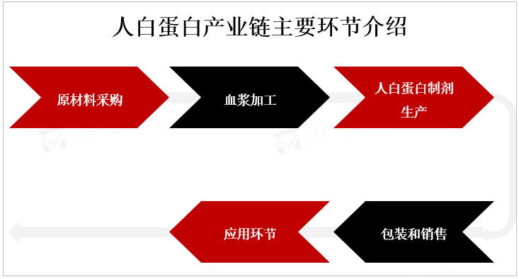 人白蛋白产业链主要环节介绍