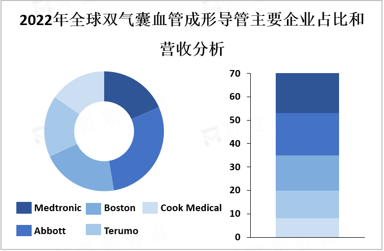 2022年全球双气囊血管成形导管主要企业占比和营收分析