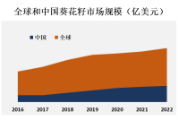 葵花籽的主要生产国包括俄罗斯、乌克兰、中国、阿根廷和美国等