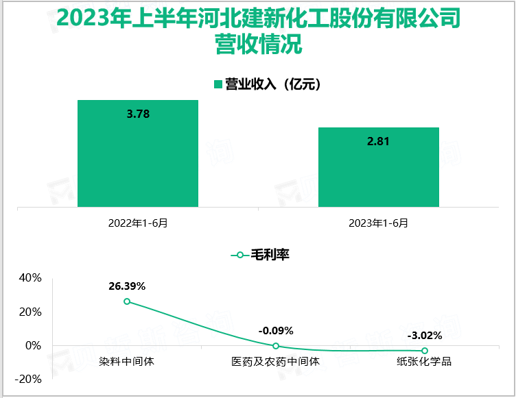 2023年上半年河北建新化工股份有限公司营收情况