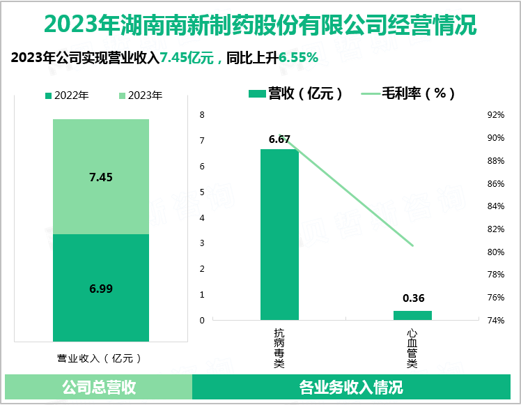 2023年湖南南新制药股份有限公司经营情况