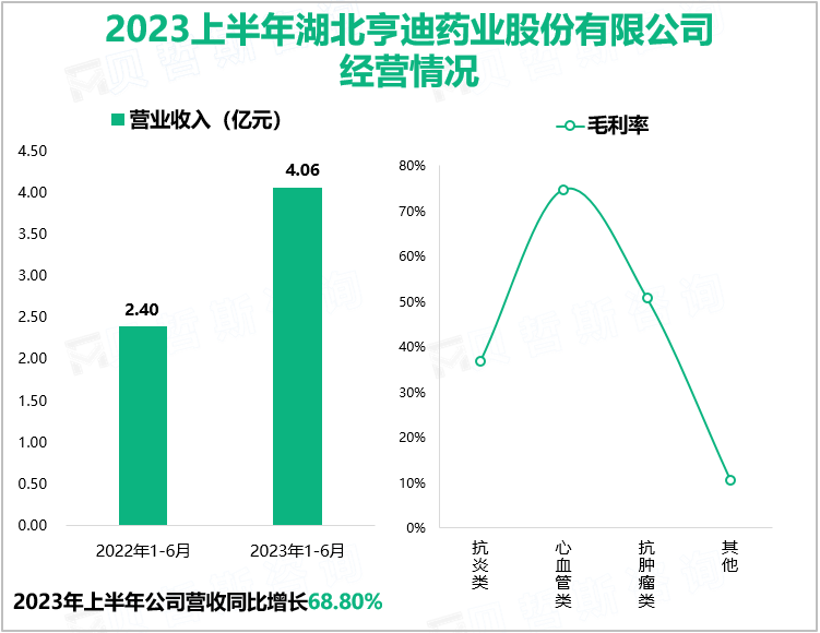 2023上半年湖北亨迪药业股份有限公司经营情况