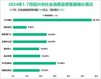 2024年1-7月绍兴市社会消费品零售总额1725亿元，同比增长9.5%