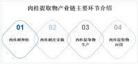 全球肉桂提取物市场发展现状分析及前景预测