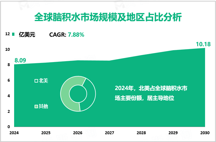 全球脑积水市场规模及地区占比分析