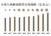 人体解剖模型行而已市场概览[图]