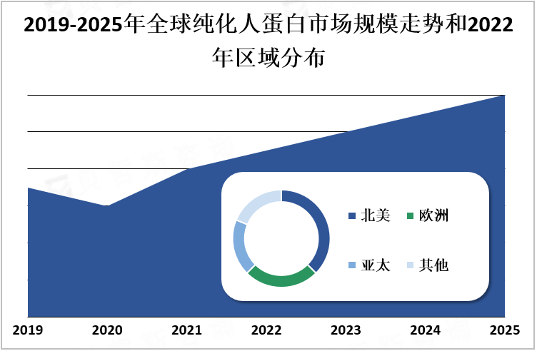 2019-2025年全球纯化人蛋白市场规模走势和2022年区域分布