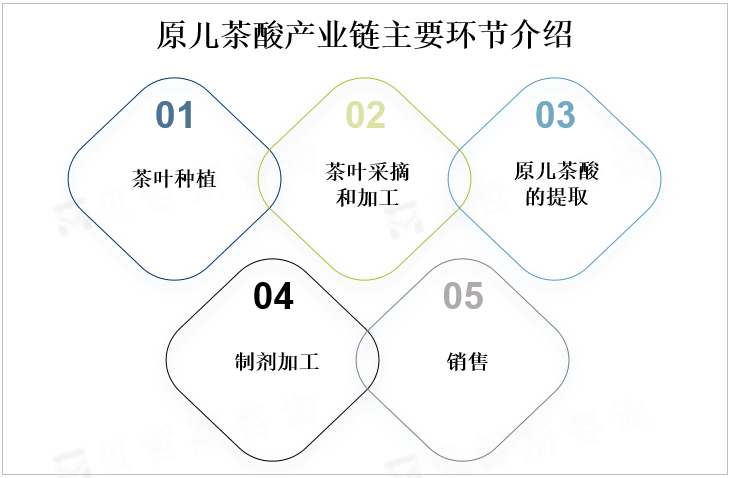 原儿茶酸产业链主要环节介绍 