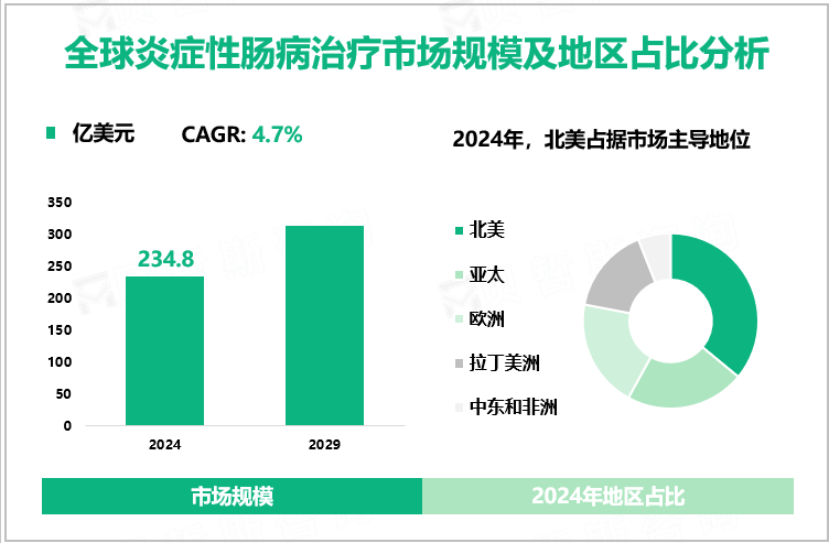 全球炎症性肠病治疗市场规模及地区占比分析