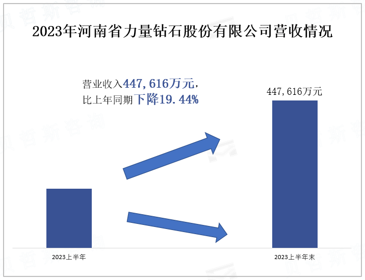 2023年河南省力量钻石股份有限公司营收情况