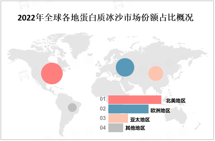 2022年全球各地蛋白质冰沙市场份额占比概况