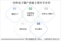 多样化、高端化、健康化是全球一次性电子烟市场重要发展方向