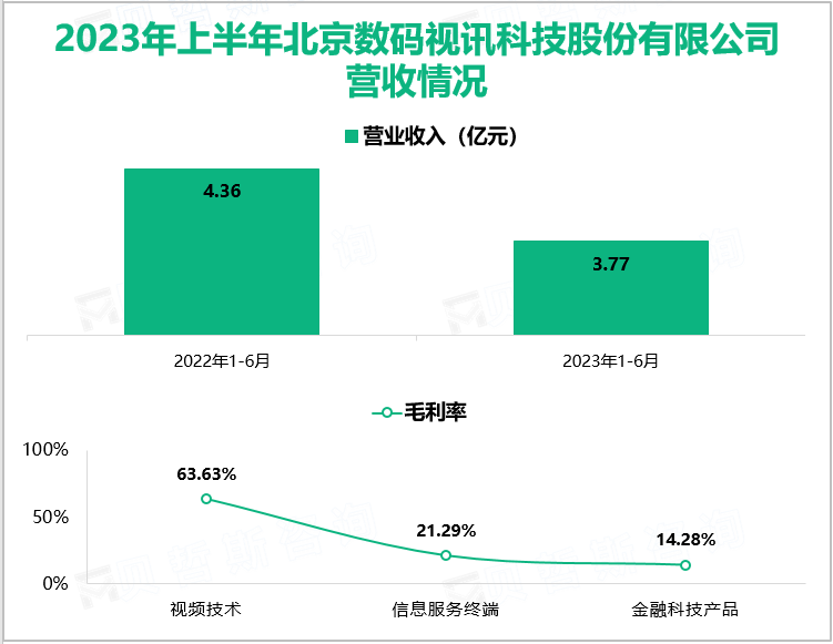 2023年上半年北京数码视讯科技股份有限公司营收情况