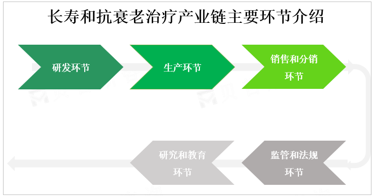 长寿和抗衰老治疗产业链主要环节介绍