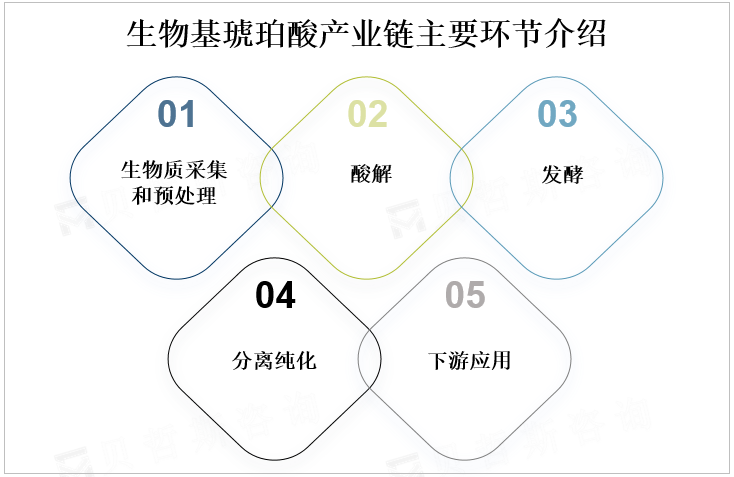 生物质琥珀酸产业链主要环节介绍