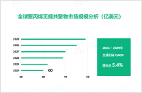 聚丙烯无规共聚物行业现状：2024年全球市场规模达60亿美元

