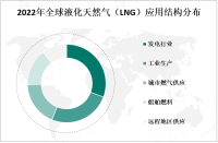 液化天然气（LNG）的国际贸易不断扩大，成为全球能源市场的重要组成部分

