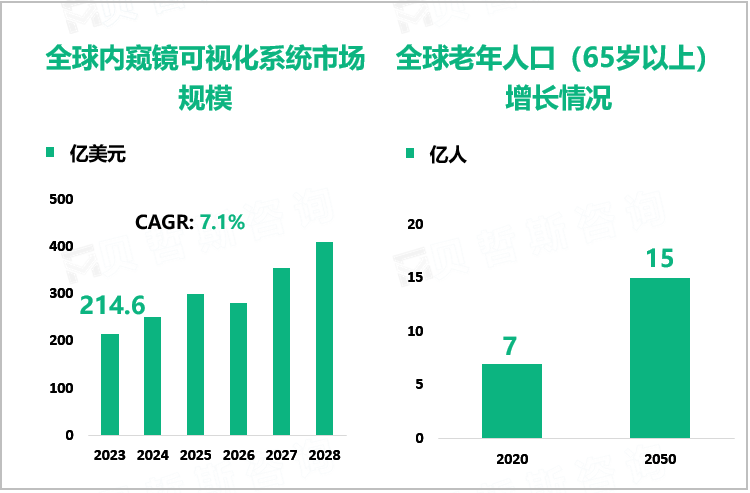 全球内窥镜可视化系统市场规模、全球老年人口（65岁以上）增长情况
