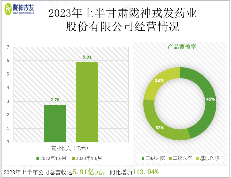 2023年上半甘肃陇神戎发药业股份有限公司经营情况