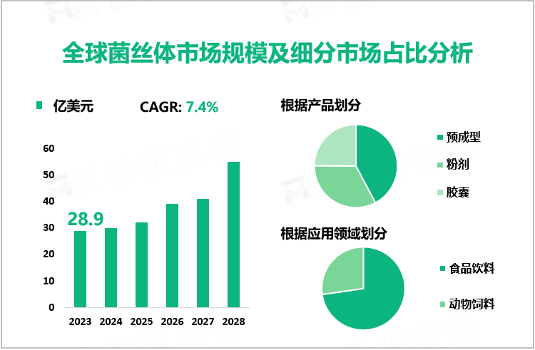 全球菌丝体市场规模及细分市场占比分析